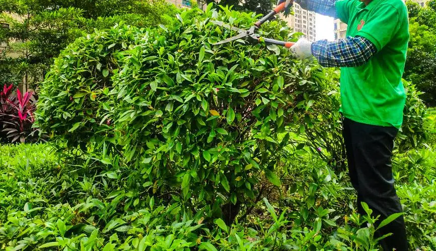 镇江市河道绿化工程项目