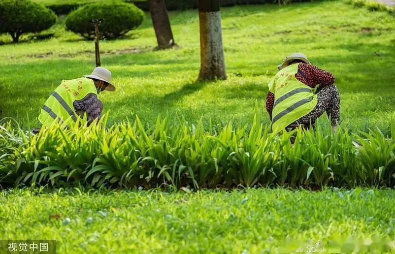 餐厅露天园林景观设计方案